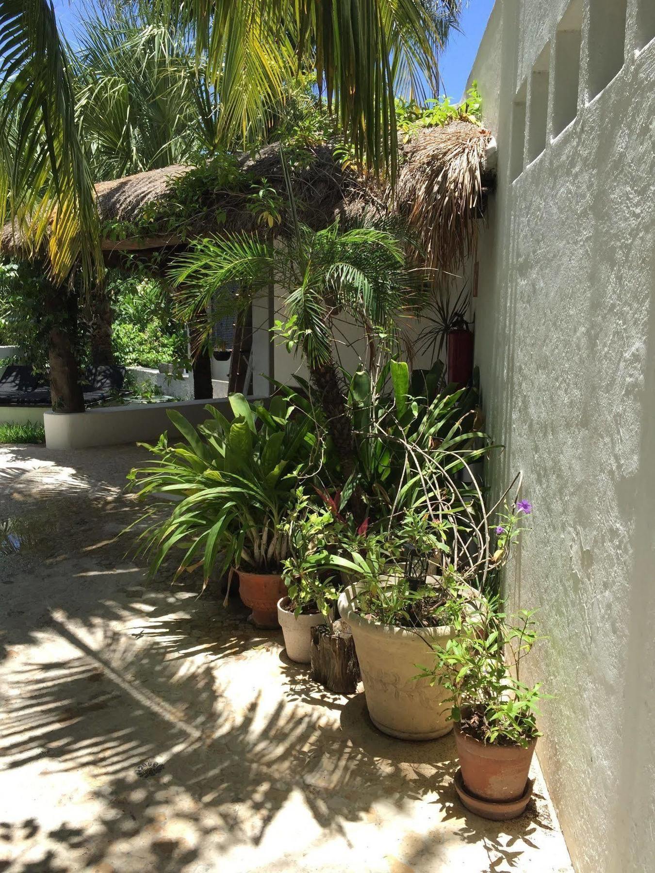 Mi Casa En Cozumel Hotel Ngoại thất bức ảnh